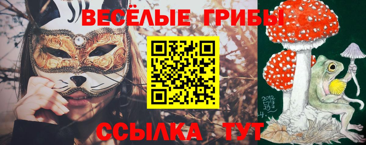 Орёл  Псилоцибиновые грибы прущие грибы  Вход с VPN 